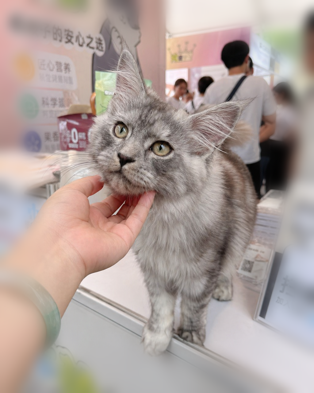 在家会是什么样