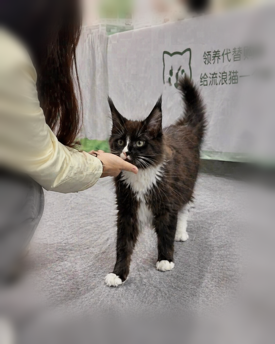 在家会是什么样