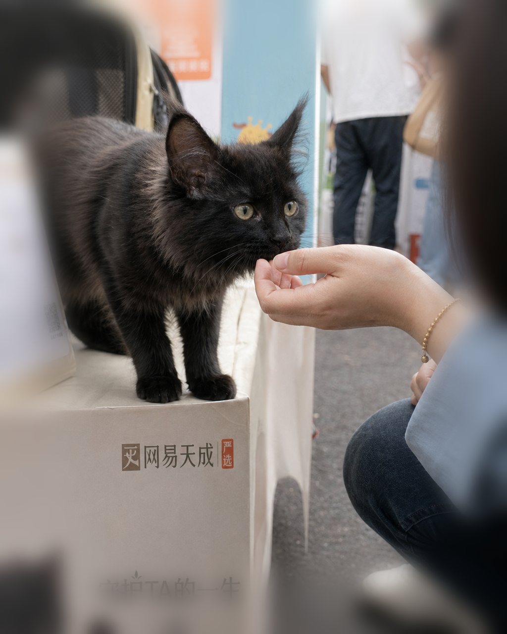 在家会是什么样