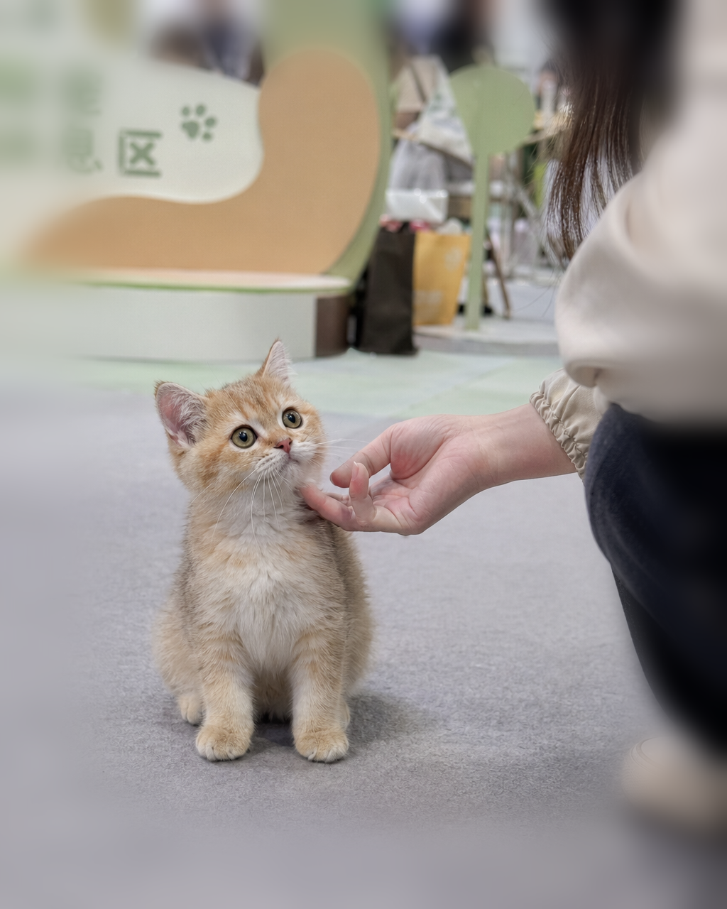 在家会是什么样
