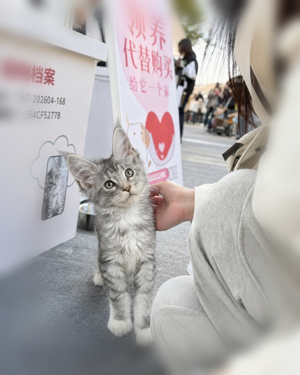 在家会是什么样