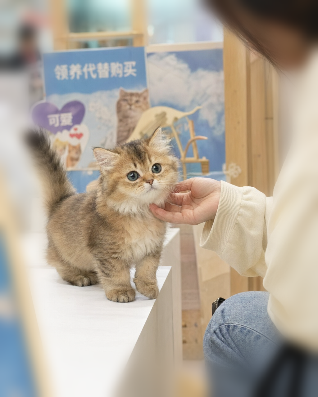 在家会是什么样