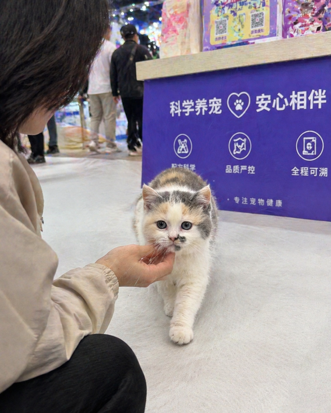 在家会是什么样